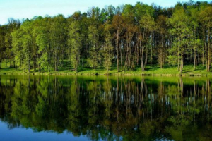 Natura regionu tula Natura regionu tula